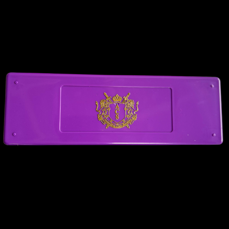 Coin Slab Purple Box 